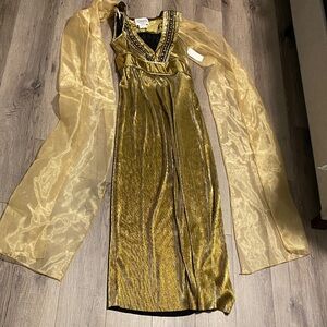 Elegant Gold Evening Gown with Sheer Sleeves - Empress of the Nile Halloween Gow